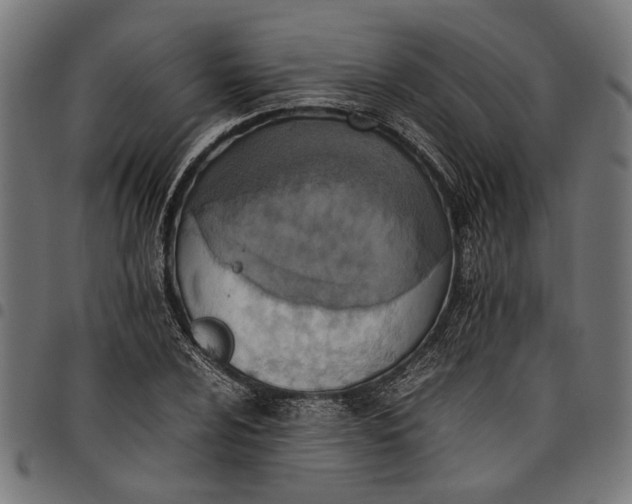 X0000097881024200803281219