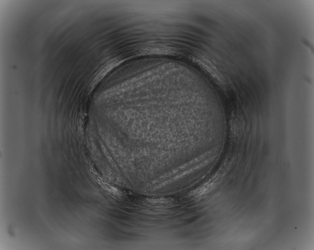 X0000097881025200803281219