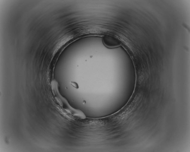 X0000097881026200803281219