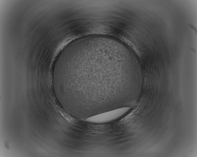 X0000097881027200803281219