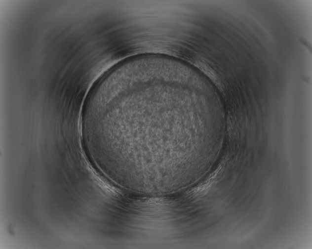 X0000097881028200803281219