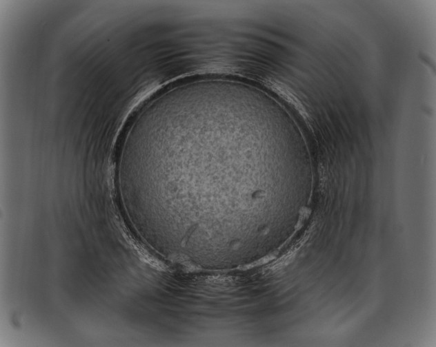 X0000097881029200803281219