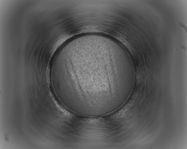 X0000097881030200803281219