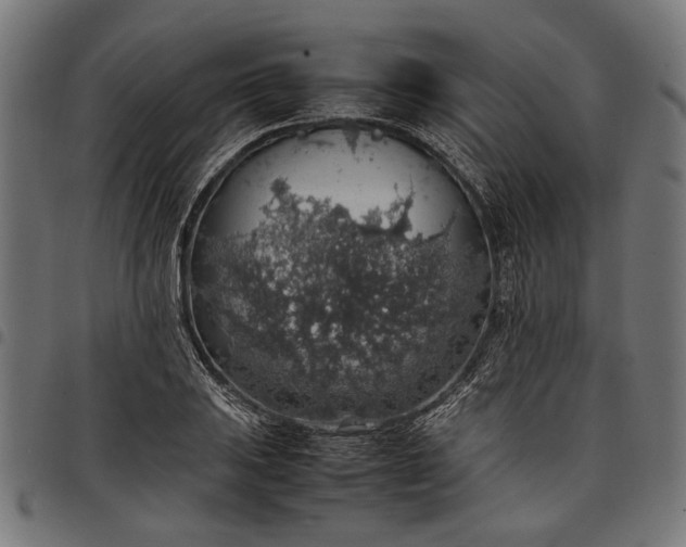 X0000097881031200803281219