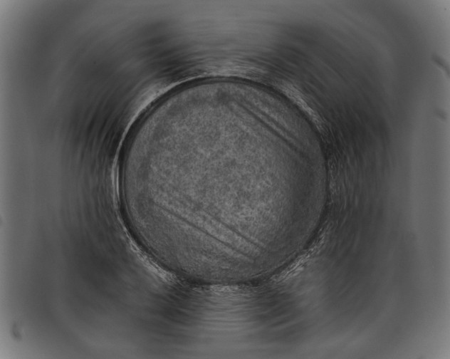 X0000097881032200803281219