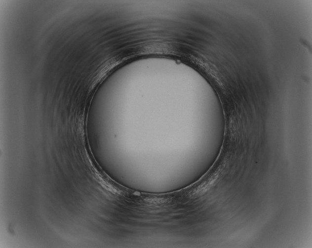 X0000097881033200803281219