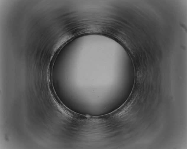 X0000097881034200803281219