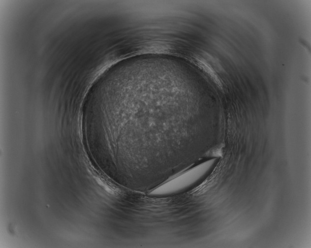 X0000097881035200803281219