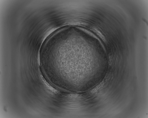 X0000097881036200803281219