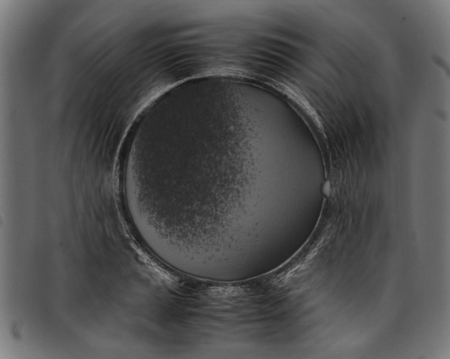 X0000097881037200803281219