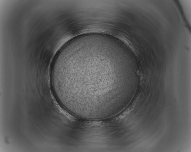 X0000097881038200803281219