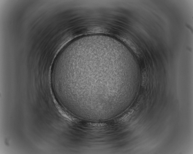 X0000097881039200803281219