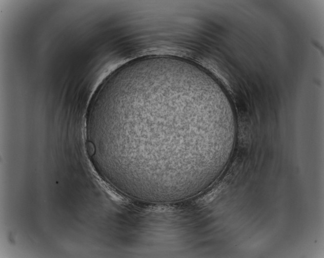 X0000097881040200803281219