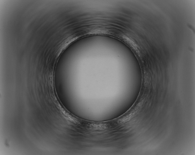 X0000097881041200803281219