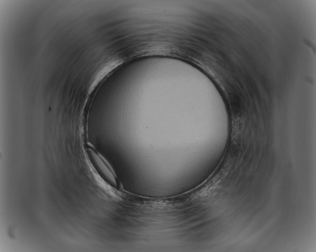 X0000097881042200803281219