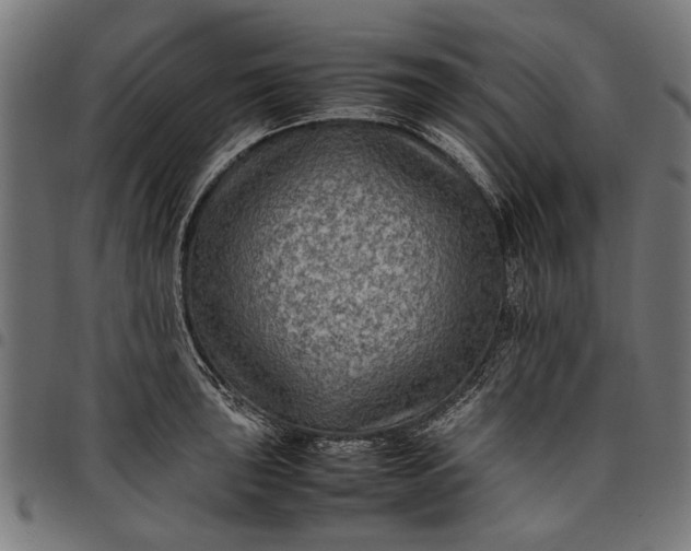 X0000097881043200803281219