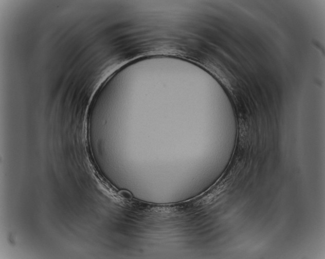 X0000097881044200803281219