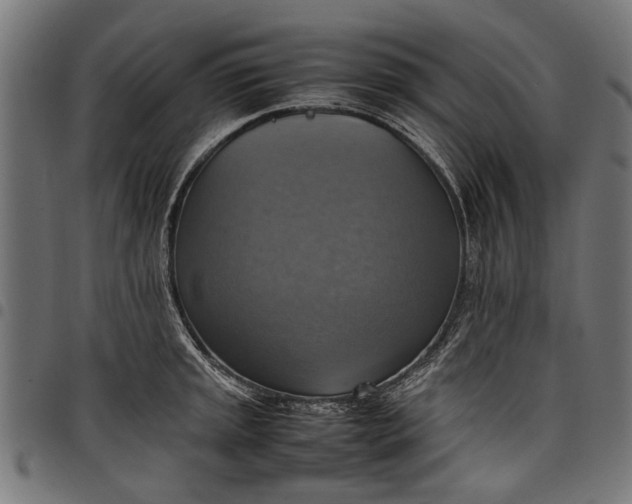 X0000097881045200803281219