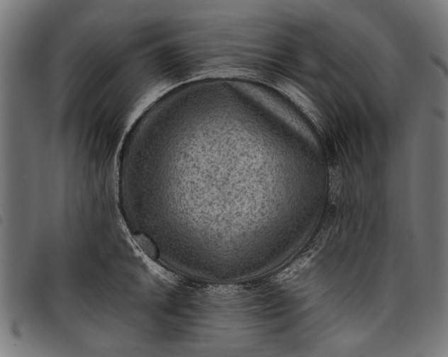 X0000097881046200803281219