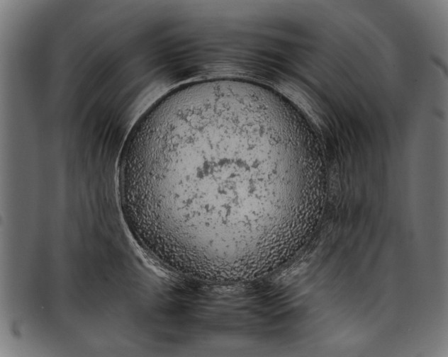 X0000097881047200803281219