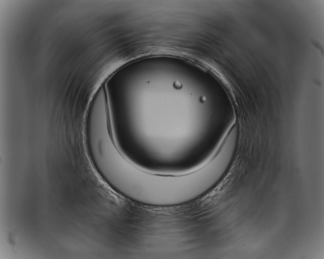 X0000097881048200803281219