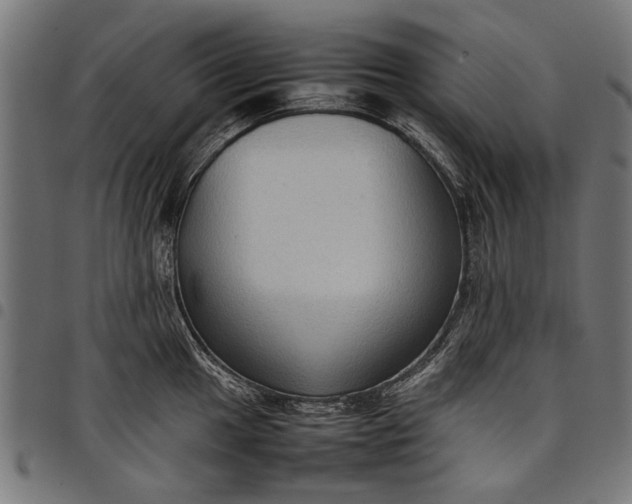 X0000097881049200803281219