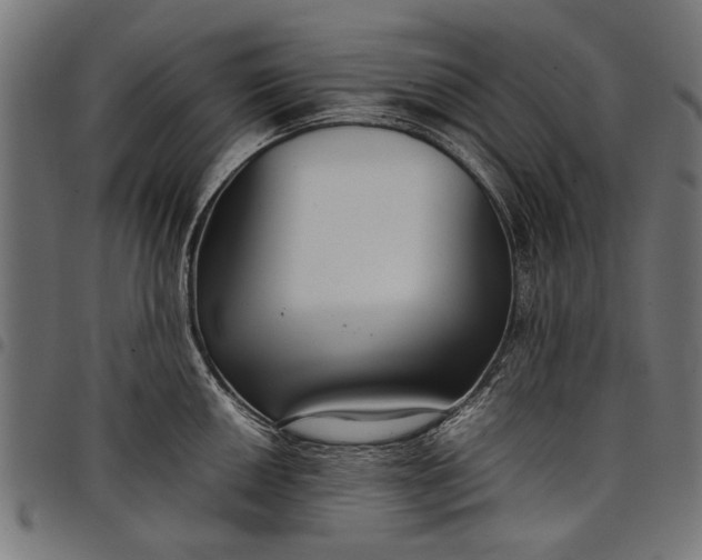 X0000097881050200803281219