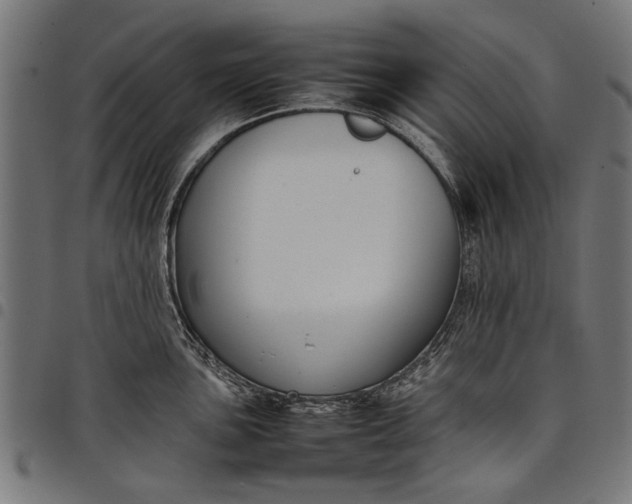 X0000097881051200803281219