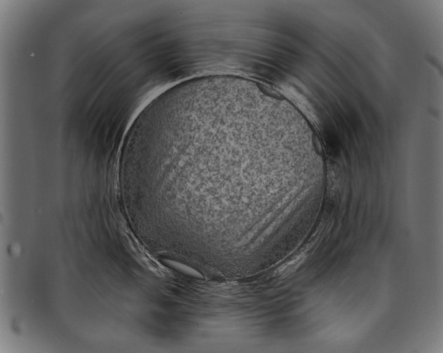 X0000097881052200803281219