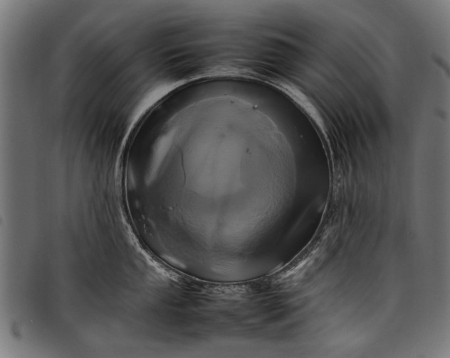 X0000097881053200803281219