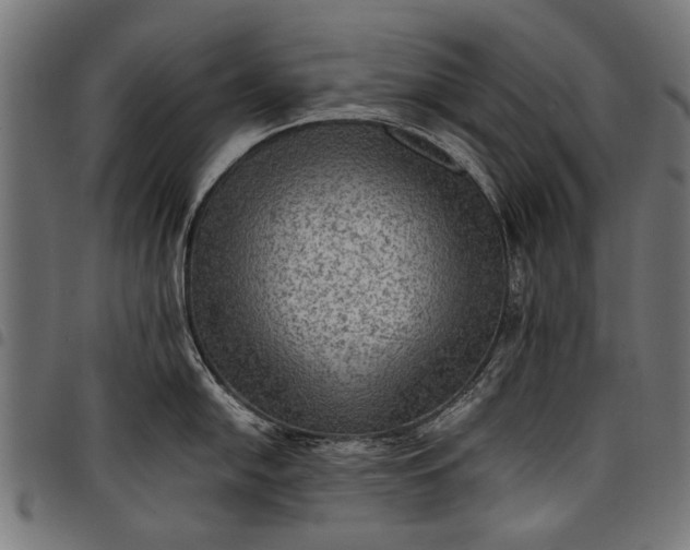 X0000097881054200803281219