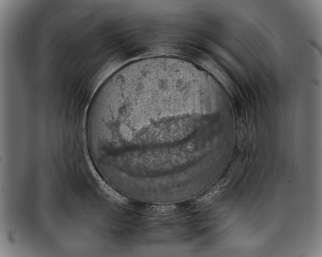 X0000097881055200803281219