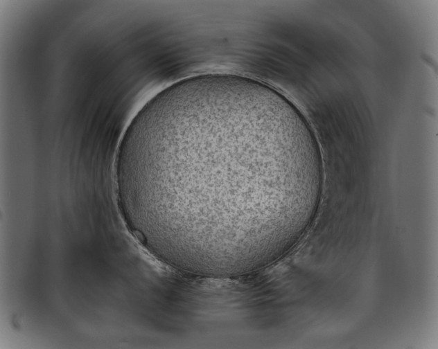 X0000097881056200803281219