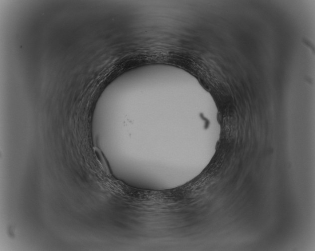 X0000097881057200803281218