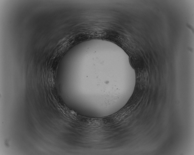 X0000097881058200803281218