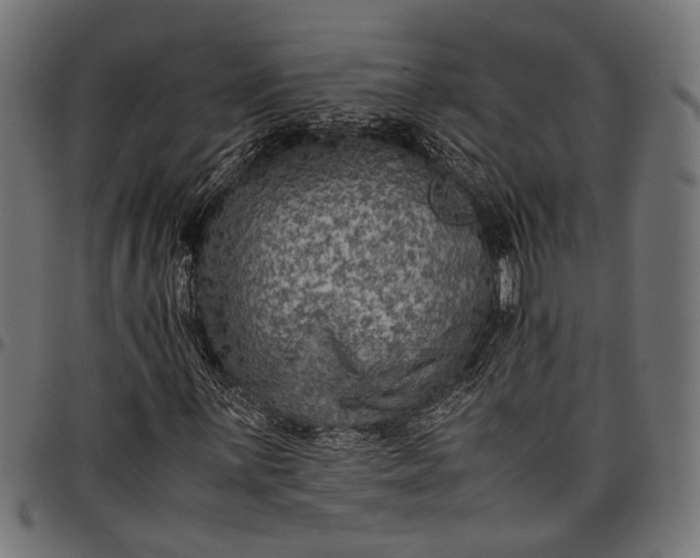 X0000097881059200803281218