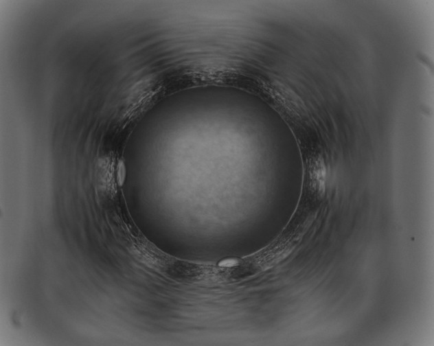 X0000097881060200803281218