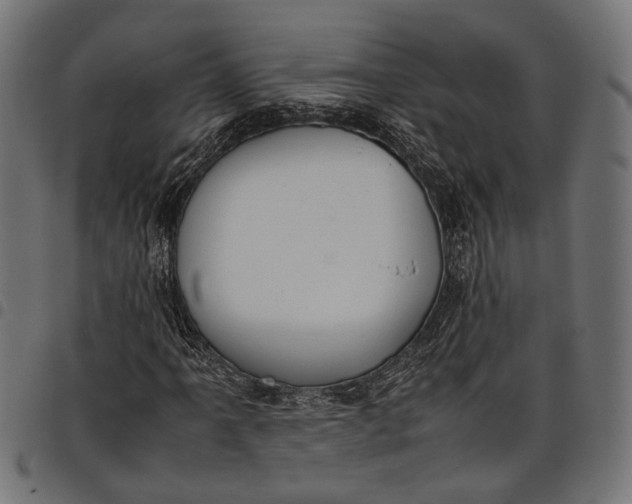 X0000097881061200803281218