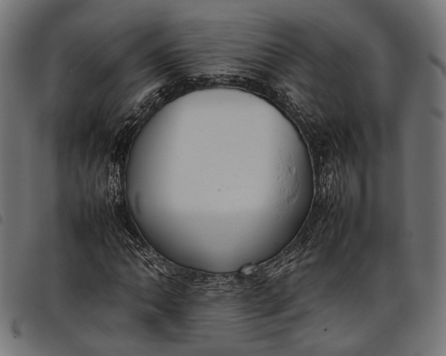 X0000097881062200803281218