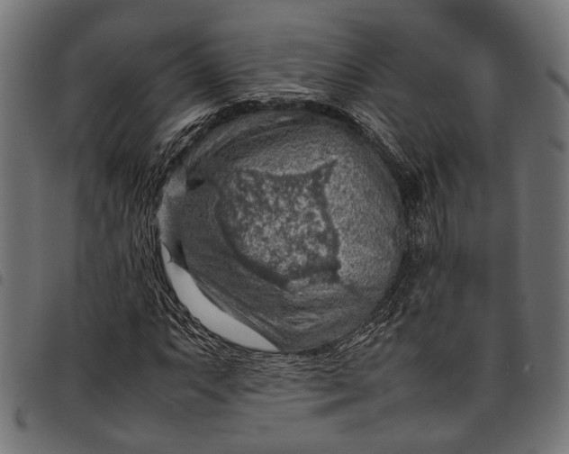 X0000097881063200803281218