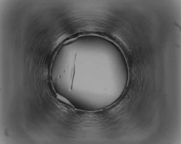 X0000097881065200803281218