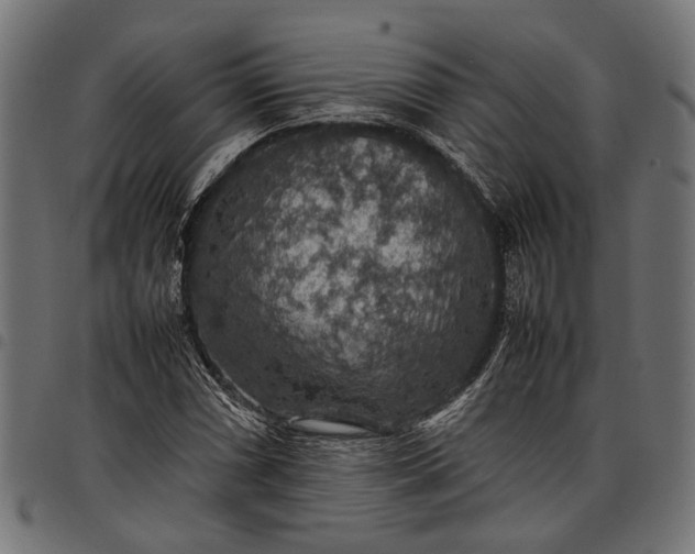 X0000097881066200803281218