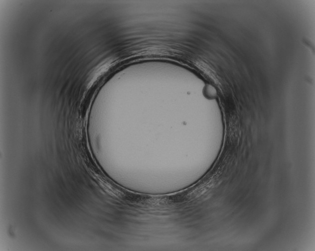 X0000097881067200803281218