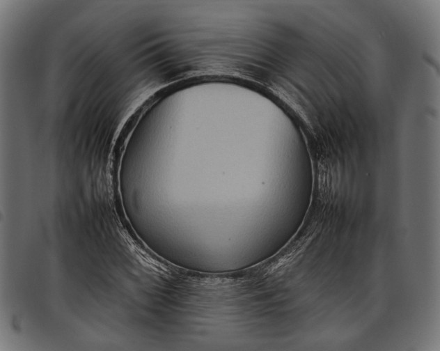 X0000097881068200803281218