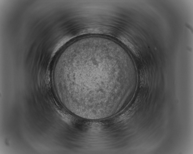 X0000097881070200803281218