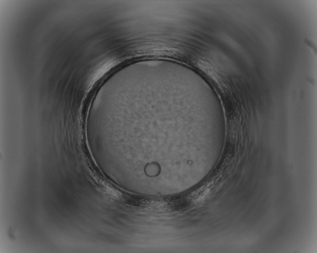 X0000097881071200803281218