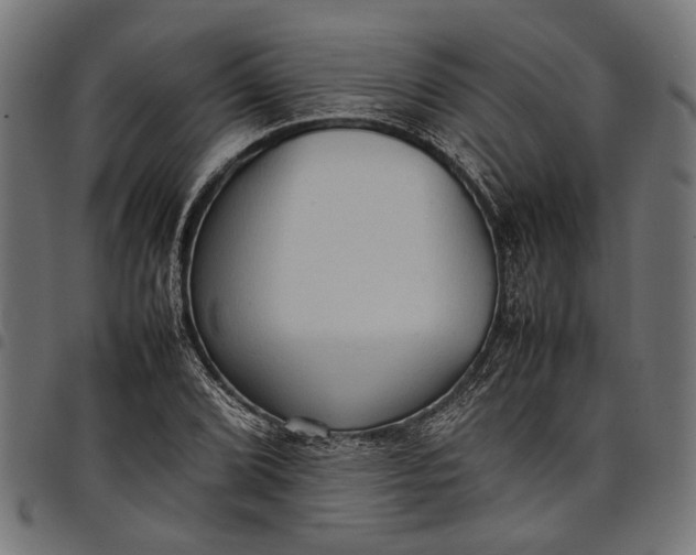 X0000097881072200803281218