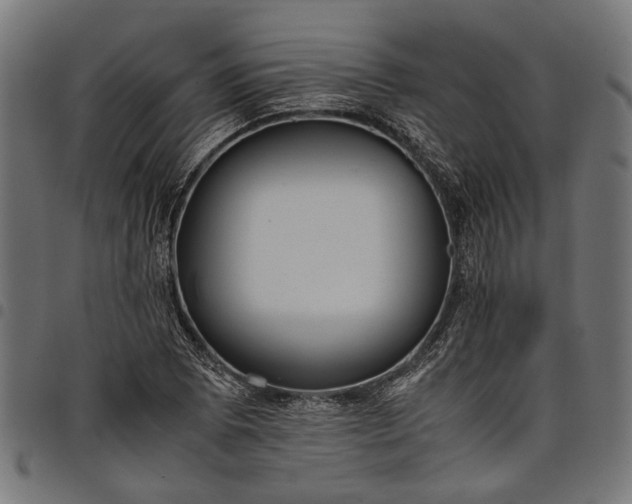 X0000097881073200803281218