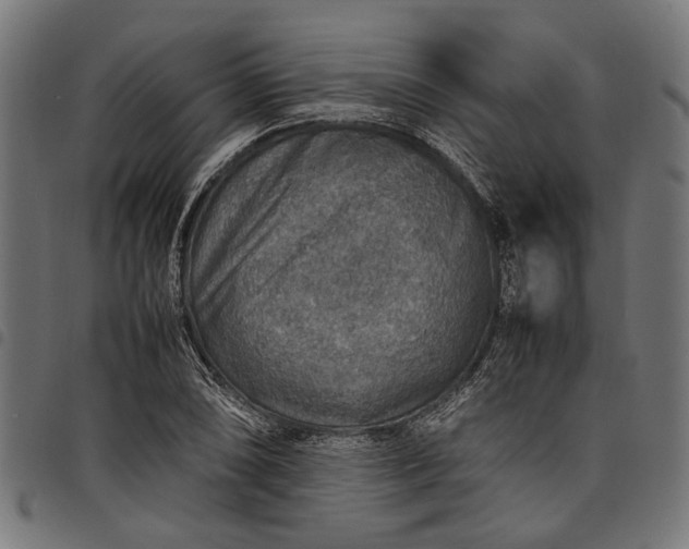 X0000097881074200803281218