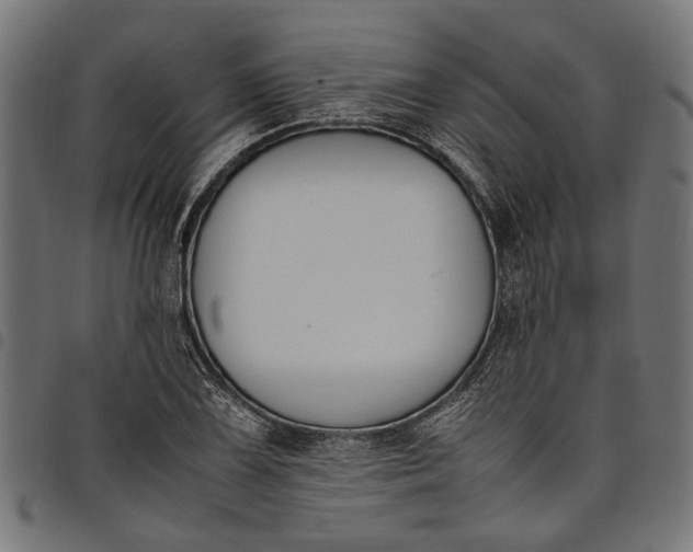 X0000097881075200803281218